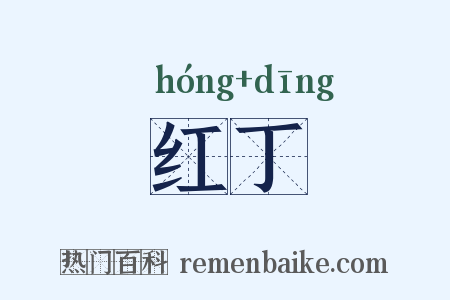 红丁是什么意思的图片